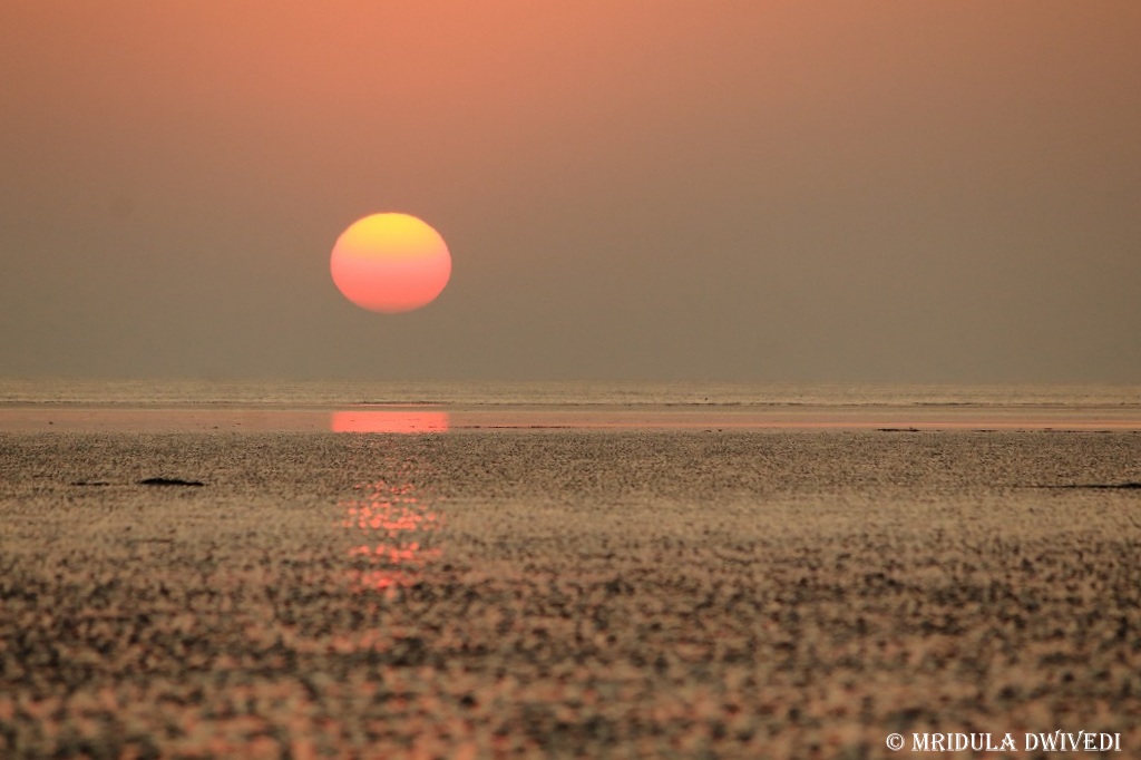 Mandvi海滩的日落，古吉拉特邦，印度